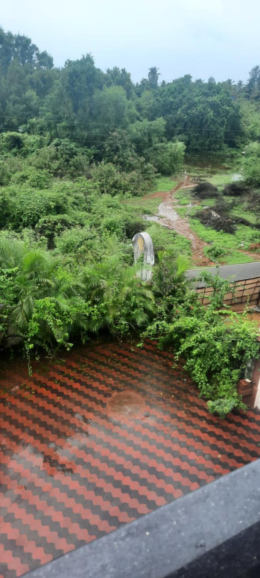 Eve Resort Patnem Beach ภายนอก รูปภาพ